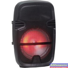 HAUT-PARLEUR BEST SOUND 1507 AVEC MICRO SANS FIL