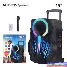 Ndr-P15 Enceinte Bluetooth High Power Party Box avec microphone sans fil