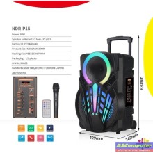 Ndr-P15 Enceinte Bluetooth High Power Party Box avec microphone sans fil